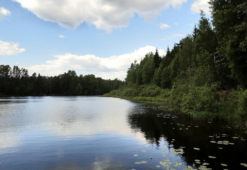 Озеро Невское в Ленинградской области: информация для рыбаков и отдыхающих